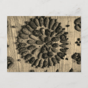 Pine Cones mandala retro Cartão postal