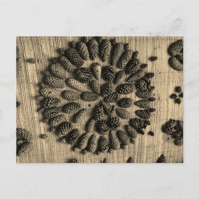 Pine Cones mandala retro Cartão postal (Frente)