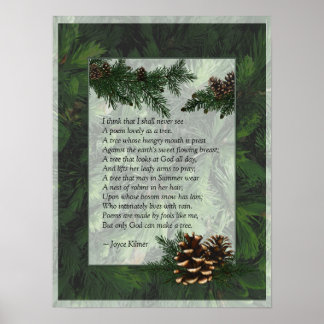 Pine Forest Poster