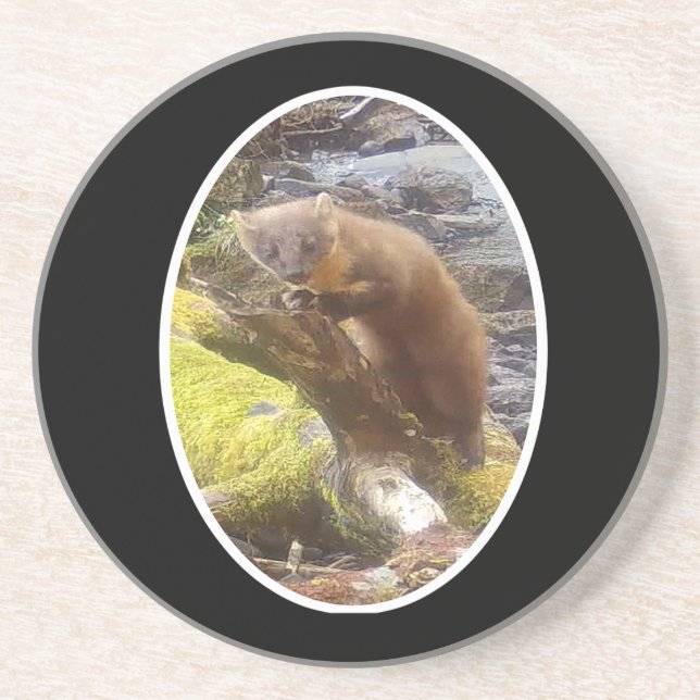 Pine Marten na Porta copos do Log Sandstone (Frente)