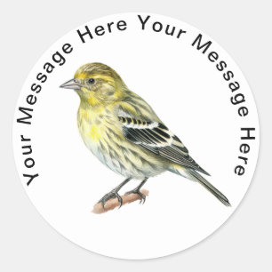 Pine Siskin adesivos