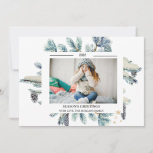 Pine Tree Branches Foto SEASON