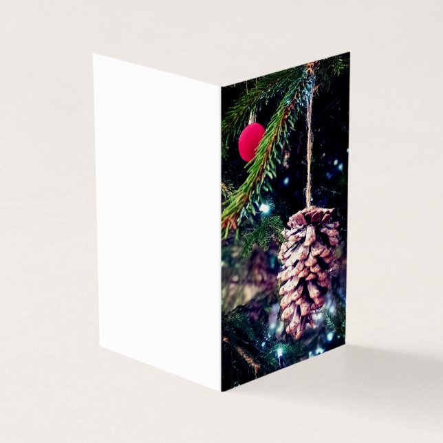 Pinecona e bausola vermelha (Exterior)