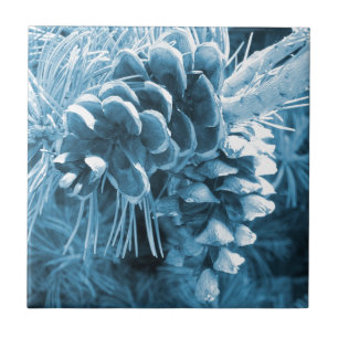 Pinecone azul-do-natal primitivo