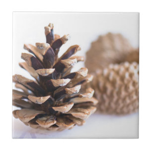 Pinecones
