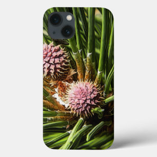 Pineflower