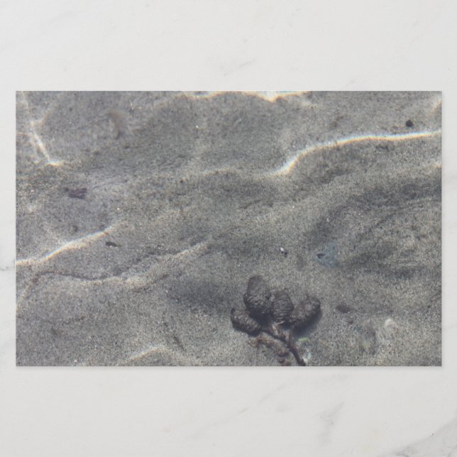 Pineges na água (Frente)