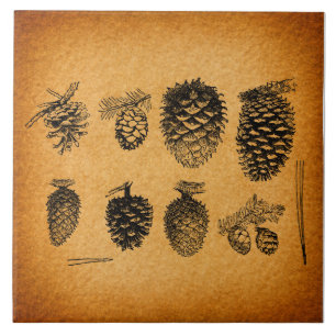 Pineges Rústicos Pine Cone Trabalho de arte