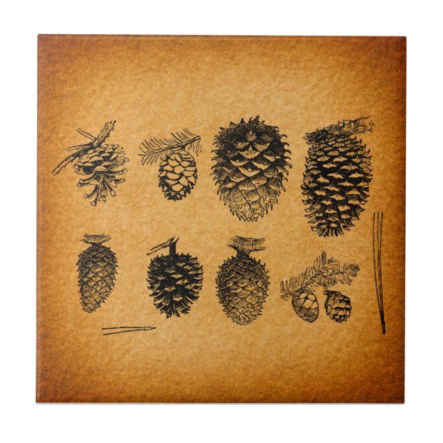 Pineges Rústicos Pine Cone Trabalho de arte (Frente)