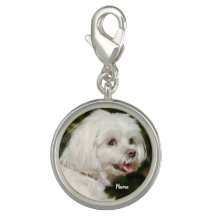Cachorro branco branco branco branco-branco
