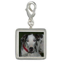 Encanto de great dane Merlequin