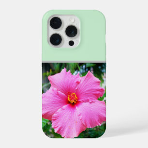 Pingo de Chuva em Hibisco Rosa,