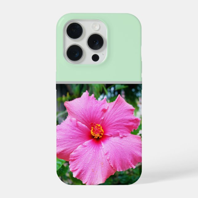 Pingo de Chuva em Hibisco Rosa, (Verso)