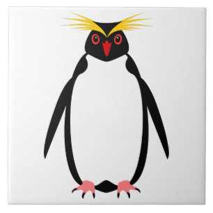 Pinguim engraçado rockhopper ou macaroni
