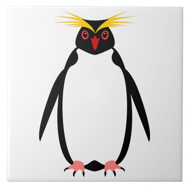 Pinguim engraçado rockhopper ou macaroni (Frente)
