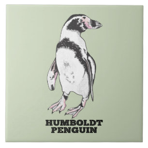 Pinguim Humboldt