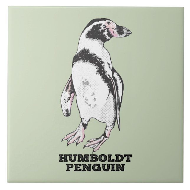 Pinguim Humboldt (Frente)