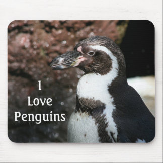 Pinguim Mousepad