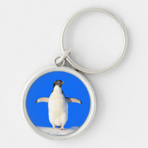Pinguim na Chaveiro de neve