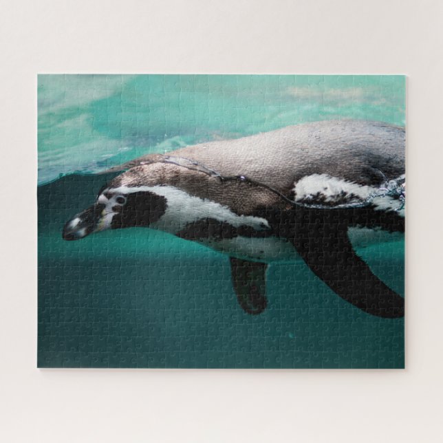 Pinguim Nadador, Quebra-Cabeça (Horizontal)
