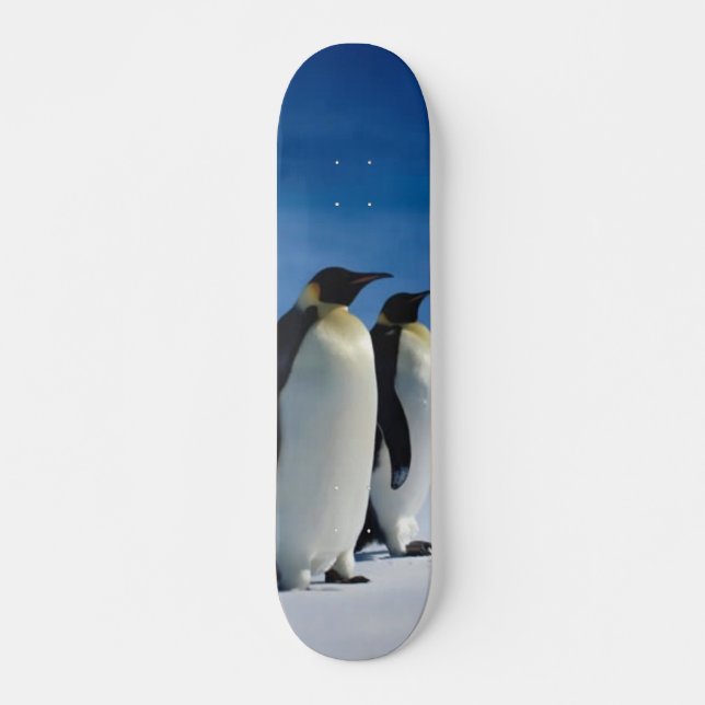 Pinguim Skateboard (Frente)