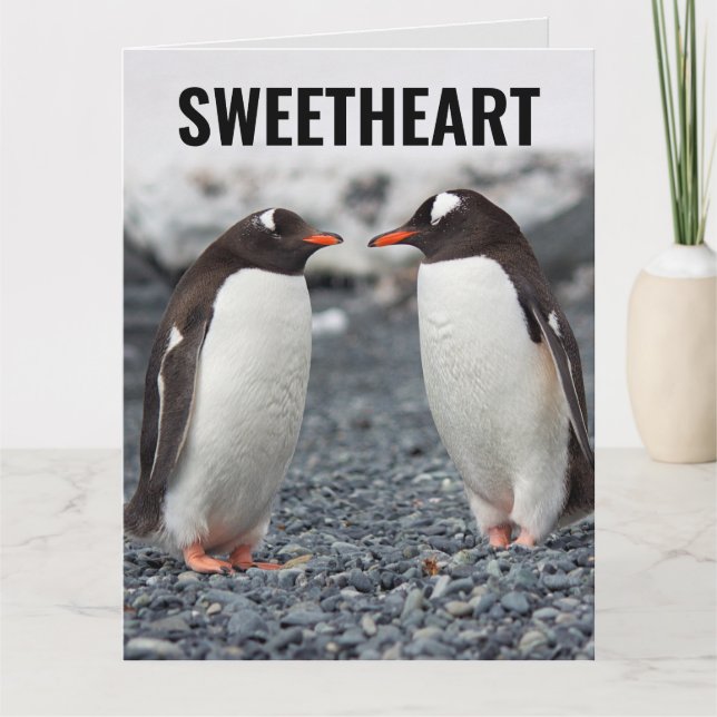 PINGUIN ROMANTIC BIRTHDAY BIG GREETING CARTÃO (Frente)