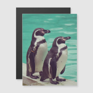 Pinguins