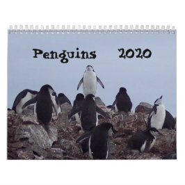 Pinguins - Calendário 2020