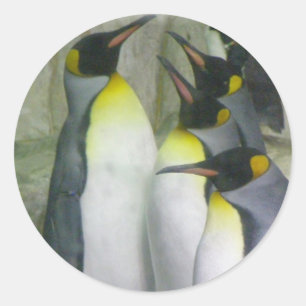 pinguins, etiquetas