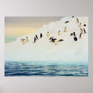 Pinguins no gelo, impressão