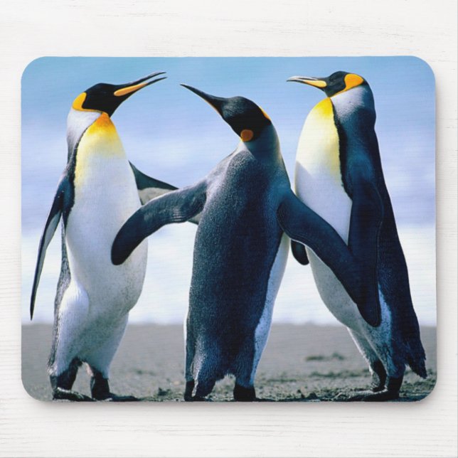 Pinguins: Pinguim colorido Mousepad ou tapete do (Frente)