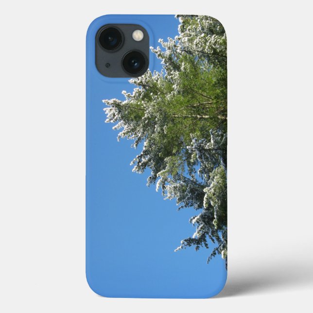 Pinheiro com Pontas Nevadas no Céu Azul (Verso)