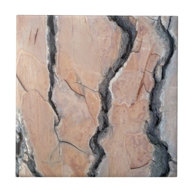 pinheiro de Aleppo (Frente)