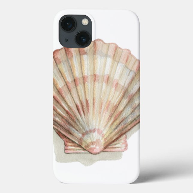 Pink and Cream Seashell (Verso)