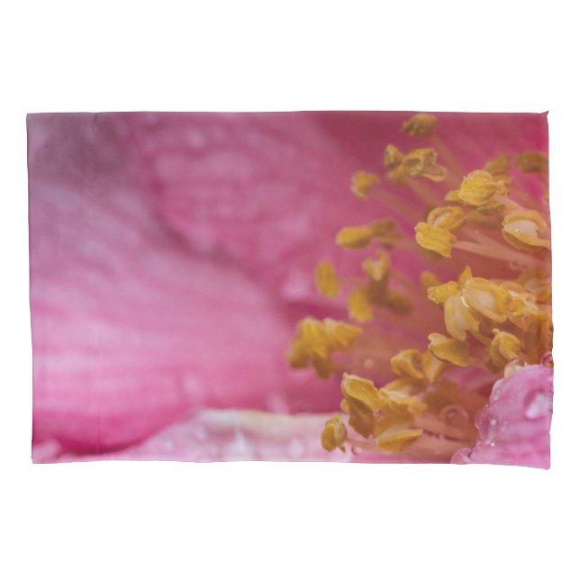 Pink Camellia Flower Stamens (Frente)