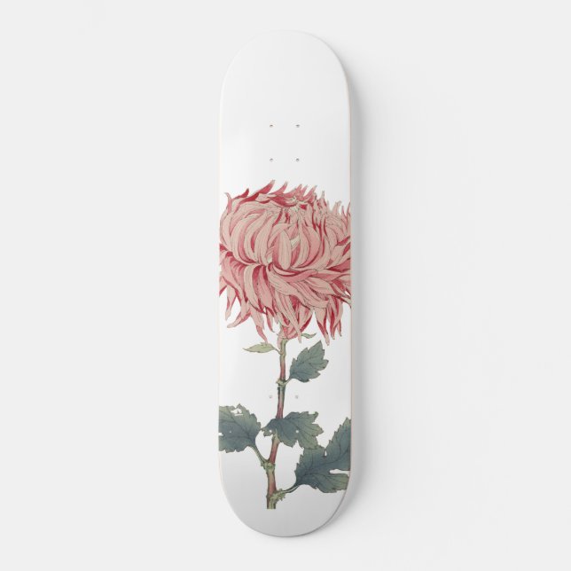 Pink Chrysanthemum Globe Flower Skateboard (Frente)