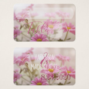 Pink Daisy Flowers