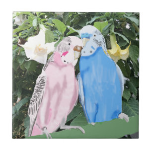 Pink e Blue Kissing Orçamentos e Angel Trumpets