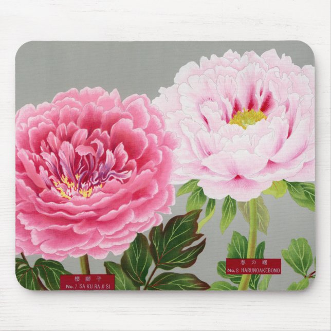 PINK E GREEN JAPONESE FLOWERS Mousepad (Frente)
