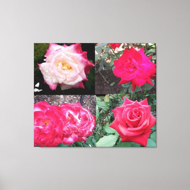 PINK ELEGANT ROSA CANVAS PRINT (Frente)