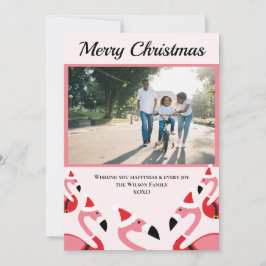 Pink Flamingo Papais noeis Foto Natal