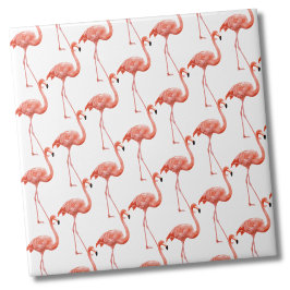 Pink Flamingo Patterno Feminino