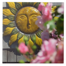 Pink Flowers and Sun - Martha's Vineyard