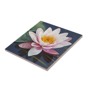 "PINK LOTUS BLOSSOM COM GOTAS DE ÁGUA EM PETAIS