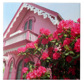 Pink on Pink - Martha's Vineyard