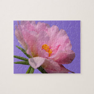 Pink Peony Quebra-cabeça