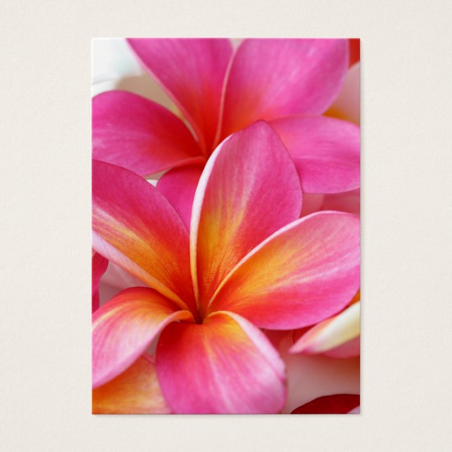 Pink Plumeria Frangipani Hawaii Flor Havaiano (Frente)
