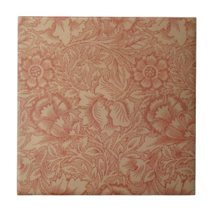 Pink Poppy (por William Morris)