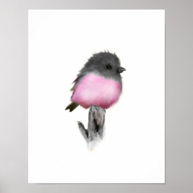 Pink Robin Poster Print (Frente)