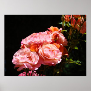 Pink Rose Flower Bouqet poster prints Floral